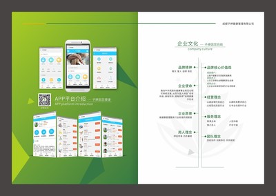 成都健康管理画册设计服务 专业咨询与视觉呈现的完美结合