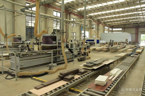 智能制造 融通未来 中国板材与定制家居大会探索环境工程新路径